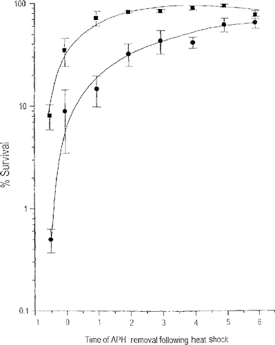 Figure 6. Delaying DNA Synthesis Reduces the Thermal Sensitivity of S-phase Cells. S-phase Cells were heated at 45°C for 15 (squares) or 39 (circles) min and DNA synthesis was blocked for the indicated time with aphidicolin. Reprinted from Ref. 22.