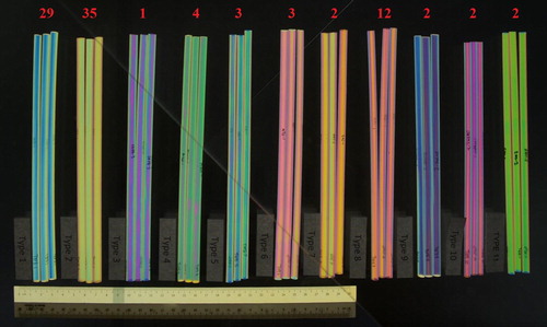 Figure 5. The 11 types of polarizing patterns that were observed (left to right: “Type 1” to “Type 11”). The numbers in red indicate the number of packets of straws for which the corresponding pattern had been observed. Note that the total adds up to more than 83, as two or more patterns were found in some packets.