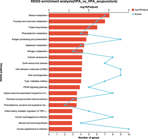 Figure 10 KEGG enrichment analysis of differentially expressed genes between VPA and VPA_acupuncture group.