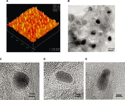 Figure 1 A) AFM topographic images showing individual C-Co NPs. B) Low and C, D, E) high magnification TEM images of graphitic C) C-Co, D) C-Fe and E) C-Fe/Co NPs obtained by RF-cCVD method.Abbreviations: