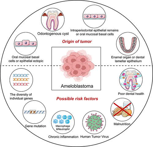 Figure 1 Sources of AB and possible risk factors.