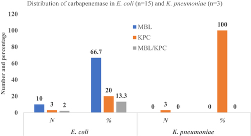 Figure 3 Distribution of MBL, KPC, MBL /KPC in E. coli and Klebsiella pneumoniae.