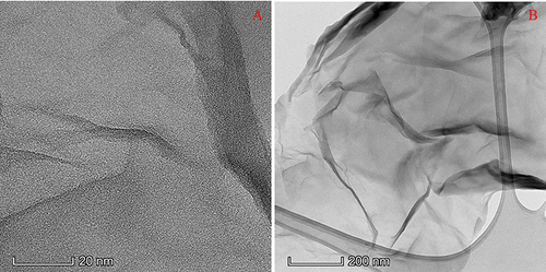 Figure 1 (A and B) TEM images of graphene oxide.