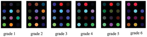 Figure 3. Difference images of sensors array for six grades of green tea (first three lines indicate prophyrins and metalloporphyrins dyes, and the last line indicates three pH indicators).