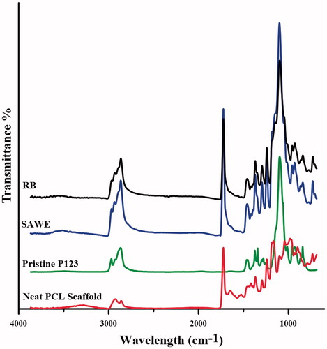 Figure 6. ATR-FTIR spectra of pristine P123 and neat PCL, RB and SAWE scaffolds.