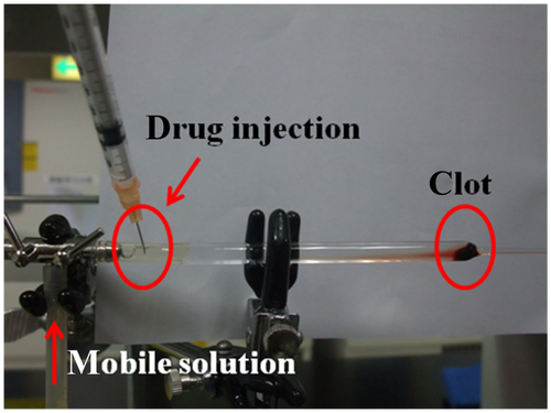 Figure S1. The laboratory set-up for determining the efficacy of targeted thrombolysis in vitro.