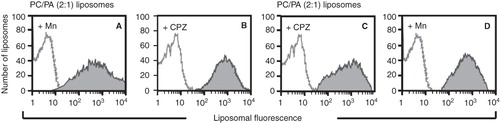 Figure 6. Sera of mice with the autoimmune disease bind specifically to non-bilayer phospholipid arrangements. The serum of a mouse with the autoimmune disease caused by Mn2+-treated phosphatidylcholine/phosphatidic acid liposomes was assayed by flow cytometry, using Mn2+-treated phosphatidylcholine/phosphatidic acid liposomes (A) or chlorpromazine-treated phosphatidylcholine/phosphatidic acid liposomes (B). The serum of a mouse with the autoimmune disease caused by chlorpromazine-treated phosphatidylcholine/phosphatidic acid liposomes was assayed by flow cytometry, using chlorpromazine-treated phosphatidylcholine/phosphatidic acid liposomes (C), and Mn2+-treated phosphatidylcholine/phosphatidic acid liposomes (D). Changes in liposomal fluorescence were evaluated. Filled histograms represent the serum of a mouse with the disease; empty histograms represent pre-immune serum.