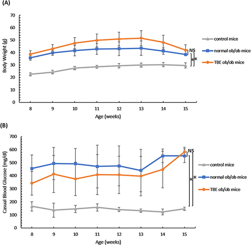 Figure 1 Obesity and hyperglycemia. Body weight (A) and blood glucose level (B) of the control mice, normal ob/ob mice, and TBE ob/ob mice groups from 8 weeks to 15 weeks of age. Compared with the control mice, in ob/ob mice, a significant increase in body weight was observed; however, no significant difference was observed between normal ob/ob mice and TBE ob/ob mice (A). Compared with the control mice, in ob/ob mice, a significant increase in blood glucose levels was noted; however, no significant difference was observed between normal ob/ob mice and TBE ob/ob mice (B). Values are expressed as means ± SD. *P < 0.05.