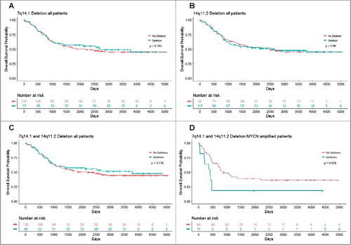 Figure 6. Chromosomes 7q14.1 and 14q11.2 focal deletions in blood and bone marrow samples from MYCN-amplified neuroblastoma patients predict poor survival. Kaplan Meier curve for overall survival in all patients with Chr7q14.1 deletion (A), Chr14q11.2 deletion (B) or both Chr7q14.1 and Chr14q11.2 deletions (C), and in MYCN-amplified neuroblastoma patients with focal deletions at both 7q14.1 and 14q11.2 (D).