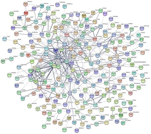 Figure 3 PPI network of DEGs.