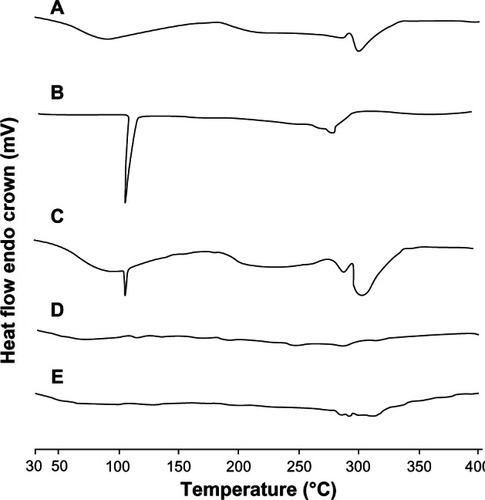 Figure 4 Differential scanning calorimetry thermograms of casein (CAS) (A), flutamide (FLT) (B), CAS-FLT physical mixture (C), unloaded CAS nanoparticles (D), and FLT-loaded CAS nanoparticles (F2) (E).