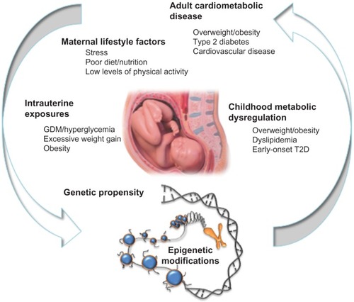 Figure 1 The vicious cycle of cardiometabolic disease.