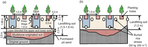 Figure 3. Summary of the growth mediums constructed at each site. Part of these diagrams is modified from Nohara and Takahashi’s (Citation2007) report. (a) US site, (b) HM site.