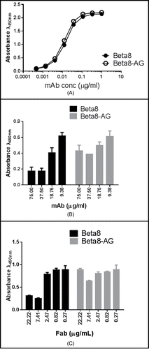 Figure 3. Binding of Beta8 and Beta8-AG to αvβ8 (A). Recombinant αvβ8 was coated to the ELISA wells. Antibody binding was detected using a HRP-conjugated goat anti-human Fc antibody. Inhibition of αvβ8 binding to LAP ((B) and C). Recombinant LAP was coated to the ELISA wells. The amount of the recombinant αvβ8 protein that generated 75% maximum binding signals was mixed with serially diluted Beta8 and Beta8-AG (B) or Fabs of Beta8 and Beta8-AG (C), and the reaction was incubated at room temperature. The ability of αvβ8 binding was detected by an HRP-conjugated anti-αvβ8 antibody.