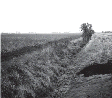 Plate I. Plate II.The Lusdyke meets Wainfleet Haven just behind the camera. Only the line of the ditch marks the original course of the key feature of the water supply to the harbour of Wainfleet All Saints during medieval and early modern times (Author's photograph, March 2003).