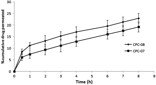 Figure 6. Percentage cumulative drug permeated from optimized batch through nasal mucosa.