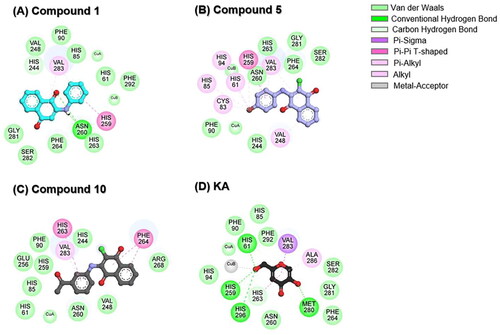 Figure 6. Time evolution of (A) RMSD and (B) Rg of compounds 1, 5, 10, and KA in complexes with tyrosinase.