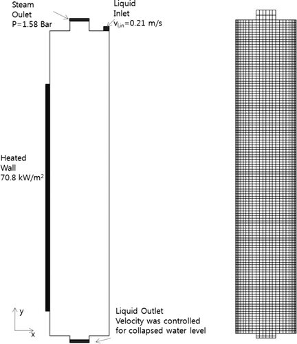 Figure 4. Boundary conditions of the calculation and the computation mesh.