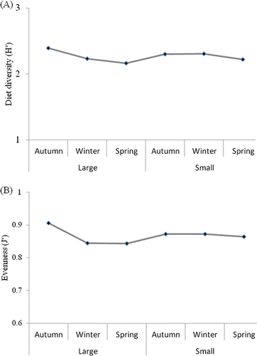 Figure 6.  Trophic diversity (A) and equality (B) of prey items found in small and large size classes of Crangon hakodatei at each season.