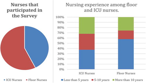 Figure 1. Demographics of the nursing staff who participated in the survey