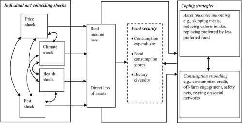 Figure 1. Conceptual framework linking shocks, coping strategies and food security. Source: Authors.