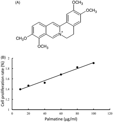Figure 1. Chemical structure and cytotoxicity of palmatine. Chemical structure of palmatine (A). Cytotoxicities of the palmatine was measured by MTT assay, and calculated by the inhibitory rate of cell proliferation (n = 8) (B).