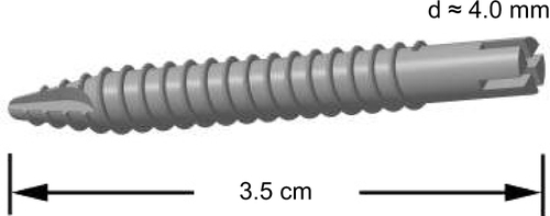 Figure S1 Schematic representation of the titanium implant.