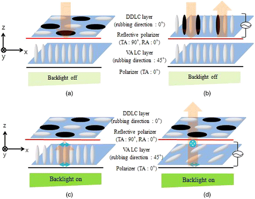 Figure 2. Operation of the proposed transflective LCD. (a) Dark and (b) bright states of the reflective mode. (c) Dark and (d) bright states of the transmissive mode.