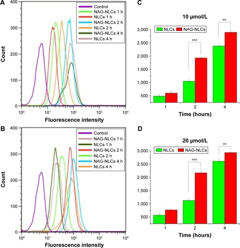 Figure 5 Cell uptake of PMAGP-GEM/PTX (3:1) NAG-NLCs and PMAGP-GEM/PTX (3:1) NAG in A549 cells analyzed by flow cytometry.Notes: A549 cells were exposed to NAG-NLCs and NLCs with different concentrations for different time intervals. Cells incubated with only media as control. Mean fluorescence intensities show FITC intensity inside A549 cells incubated with 10 (C) and 20 (D) µmol/L, and flow-cytometry analysis (A and B) corresponds to the mean fluorescence-intensity results. Data presented as mean ± SD (n=3). **P<0.01; ***P<0.001.Abbreviations: PMAGP, poly(6-O-methacryloyl-d-galactopyranose); GEM, gemcitabine; PTX, paclitaxel; NAG, N-acetyl-d-glucosamine; NLCs, nanostructured lipid carriers; FITC, fluorescein isothiocyanate; SD, standard deviation.