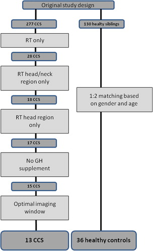 Figure 1. Flow chart of patient selection.