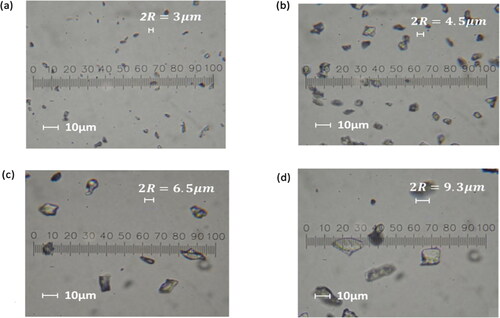 Figure 1. Optical microscope images of aluminum oxide (Al2O3) abrasive grits at different size distributions: (a) 1200, (b) 1000, (c) 800, and (d) 600 grit (Heinson et al. Citation2016a).