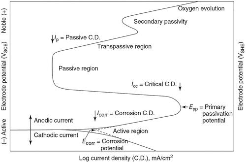 Figure 49. A scheme of cathodic, anodic, passive and transpassive regions used to identify the localized corrosion parameters (Reproduced with permission from[Citation321]).