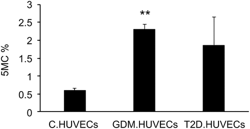 Figure 1. Percentage of global DNA methylation in Control-HUVECs vs GDM-HUVECs and T2D-HUVECs. ELISA was performed to determine 5mC levels. **P < 0.01 vs controls. HUVEC, human umbilical vein endothelial cells; GDM, gestational diabetes mellitus; T2D, Type 2 diabetes; C, control.