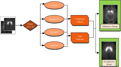 Figure 5. Comparison of DL architectures.