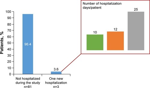 Figure 1 Hospitalizations during the documentation period.