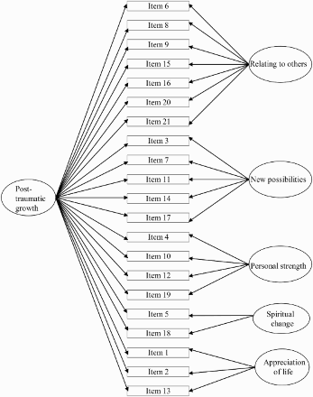 Figure 1. A bifactor model of the PTGI.