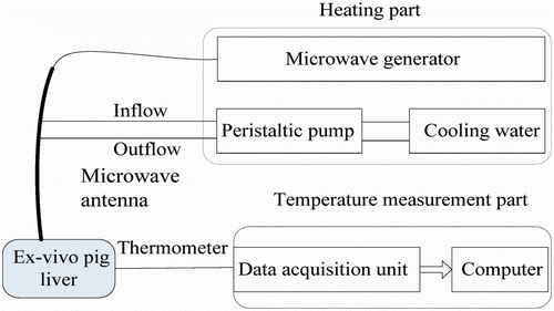 Figure 2. Schematic of the experimental systems.