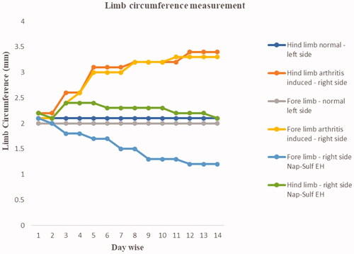 Figure 7. Limb circumference measurement.