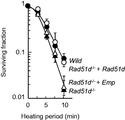 Figure 5. Heat sensitivity of Rad51d-proficient and Rad51d-deficient MEFs. The cells were exposed to heat at 45.5 °C for the indicated times and grown until the formation of colonies. Open circles, wild-type; filled circles, Rad51d−/−+ Rad51d; filled triangles, Rad51d−/−; open triangles, Rad51d−/− + empty vector.