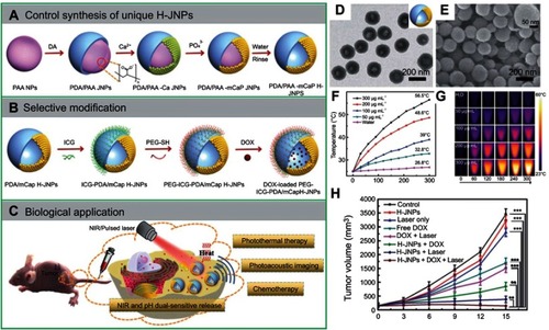 Figure 16 A schematic showing (A, B) the controlled synthesis and functionalization of the PEG–ICG–PDA@mCaP hollow Janus NPs and (C) the PA imaging-guided chemo-photothermal synergistic cancer therapy. (D, E) TEM and SEM of the PDA/mCaP hollow Janus NPs. (F, G) Temperature elevation of the hollow Janus NPs when irradiated with NIR laser (1 W cm−2) and the corresponding infrared thermal images. (H) Tumor growth curve of HepG-2 bearing mice treated with DOX-loaded hollow Janus NP and NIR laser. **p<0.01, ***p<0.001. Adapted with permission from Zhang M, Zhang L, Chen Y, Li L, Su Z, Wang C. Precise synthesis of unique polydopamine/mesoporous calcium phosphate hollow Janus nanoparticles for imaging-guided chemo-photothermal synergistic therapy. Chem Sci. 2017;8(12):8067–8077.Citation104 Copyright 2017 Royal Society of Chemistry.