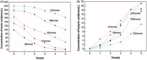 Figure 6. The growth feature of lactate-utilising and butyrate-producing at different initial lactate concentrations. (A) The curve of lactate-utilising by LY33 at different initial lactate concentrations. (B) The curve of butyrate-producing by LY33 at different initial lactate concentrations. With the increase of initial lactic acid density, the transformation of lactic acid decreased and the production of butyric acid decreased. And when the initial density of lactic acid was 132mmol, the utilisation of lactic acid was highest.
