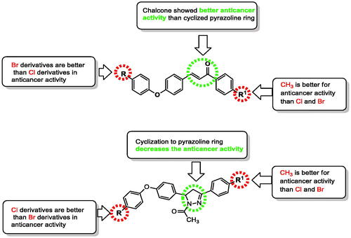 Figure 4. Structure activity relationship (SAR) of the synthesised chalcones 2a–f and their cyclized derivatives N-acetylpyrazolines 3a–f.