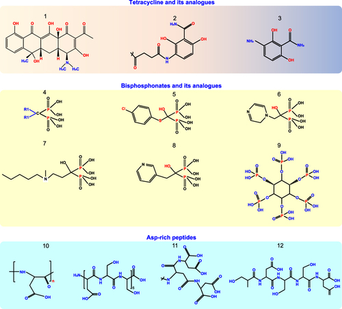 Figure 3 General structures of bisphosphonate, tetracycline, Asp-rich peptides, and its analogues with variable groups extending the function for bone target.