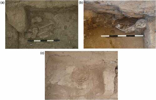 Fig. 2. Human remains in and against walls at Çatalhöyük. (a) F.7330: Juvenile and neonate cranium against a buttress, in foundation packing. (b) F.1570: Infant cut into leaning wall at closure. (c) F.3681: Articulated adult fingers below bottommost bricks in a retaining wall. Photos: Scott Haddow (a), Jason Quinlan (b, c). Courtesy Çatalhöyük Research Project.