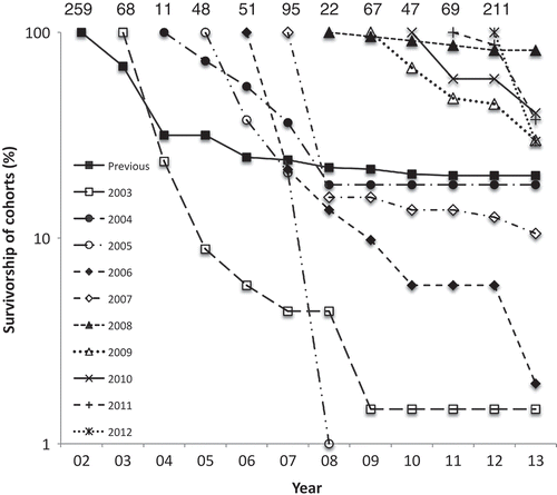 Fig. 10. Per cent survivorship of Hormosira, in 29 mid pools on Kainga Reef, in 10 annual cohorts plus those present previously (n shown above), each being the number at the beginning of March that had arisen during the previous 12 months.