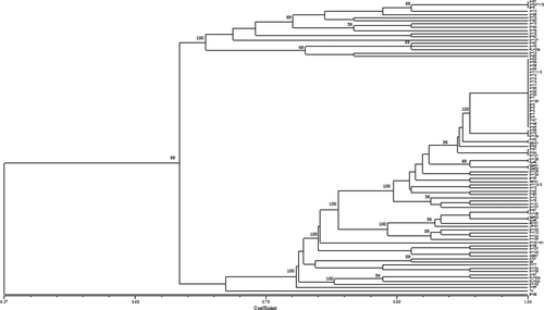 Fig. 3. Similarity dendrogram of 90 Ditylenchus dipsaci populations constructed from the genetic distance based on random amplified polymorphic DNA fragments, using the un-weighted pair group method (UPGMA).