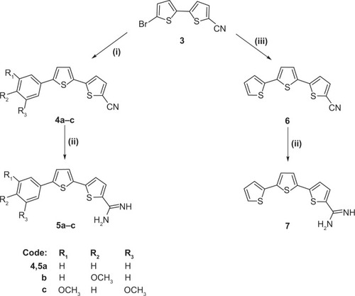 Figure 3 Newly synthesized bithiophene derivatives.