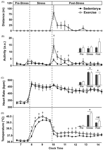 Figure 5. Physiological data on the day of exposure to stress are graphed in 20-min blocks (or averaged, insets) before stress in the home cage, during stress and immediately after stress upon return to the home cage. There were no differences between groups 1 h prior to stressor exposure. (A) Wheel running and (B) locomotor activity were increased upon return to the home cage following stress, but there were no differences in locomotor activity during stress exposure. (C) Although stress increased heart rate, it did so equally and did not differ between groups upon return to the home cage following stress. (D) CBT was also elevated as a result of stress exposure, but CBT was higher in animals with prior access to running wheels during stress. CBT remained slightly elevated after return to the home cage following stress, but was slightly higher in exercising animals which may have been a result of the increased wheel running immediately following stress exposure. Abbreviations are as follows: a.u.: arbitrary units; bpm: beats per minute; °C: degrees Celsius; m: meters. (*p < 0.05 compared with pre-stress values; #p < 0.05 compared with during stress values; †p < 0.05 exercise compared with sedentary).
