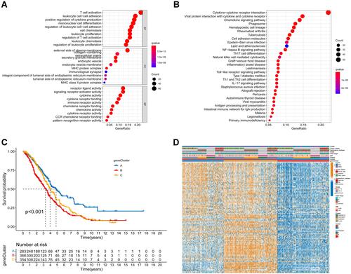 Figure 4 Identification of gene subtypes in ovarian cancer, based on DEGs. (A and B) Functional enrichment analyses of DEGs between the two pyroptosis subtypes. (C) Kaplan–Meier curves for OS of the three gene subtypes (p<0.001). (D) Comparison of the distribution of patients with different clinicopathological features between the three gene subtypes.