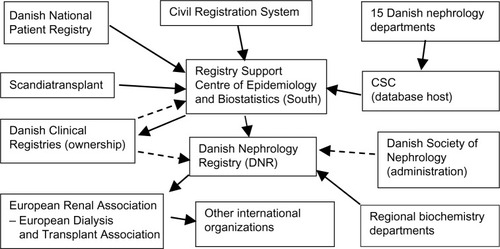 Figure 1 DNR organization.